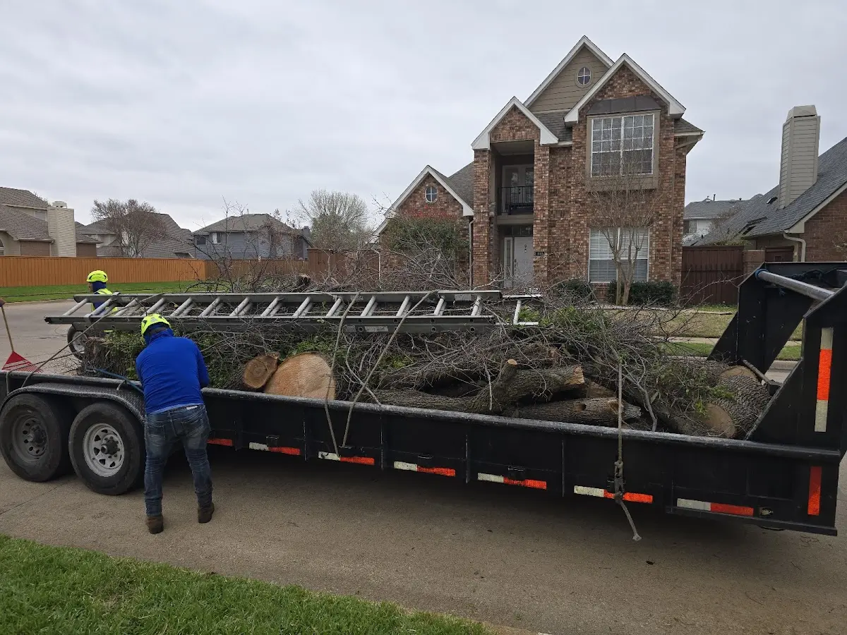 Expert Tree Fertilization with proper safety equipment in Brandon